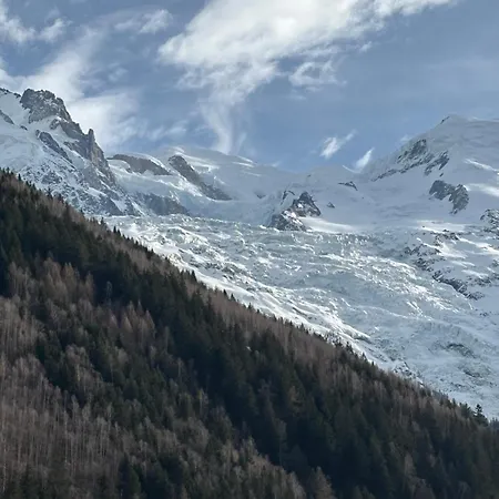 Chamois Blanc /