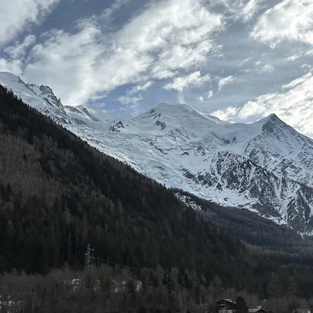 Chamois Blanc / Apartament Chamonix